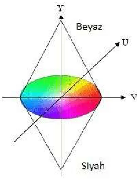 Şekil 4.3. YUV renk uzayı. 