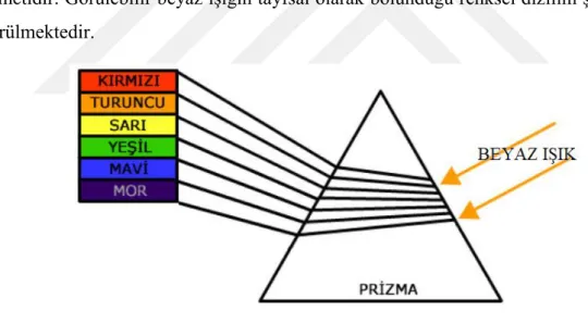 Şekil 2.1 Işık tayfı (AB ESBNA, 2013) 