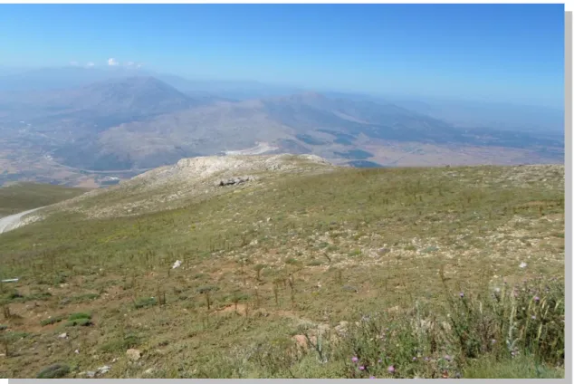 Foto 6: Honaz Dağı Zirveler Düzlüğü 
