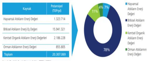 Şekil 1.3. Türkiye’nin Biyokütle Potansiyeli 