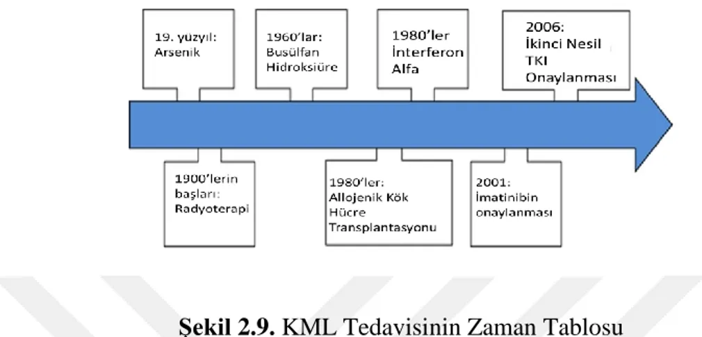 Şekil 2.9. KML Tedavisinin Zaman Tablosu   