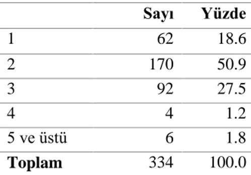 Tablo  13,  muhasebecilerin  çalıştıkları  işletmelerdeki  çalışan  sayılarını  göstermektedir