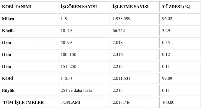 Tablo 1.13 Türkiye’deki İşletmelerin Ölçeksel Dağılımı 