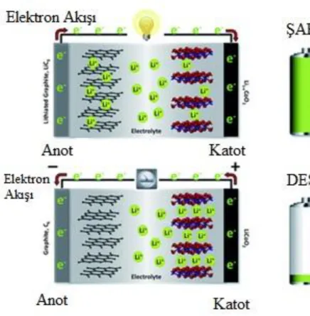 Şekil 2.2. Elektrokimyasal hücre 