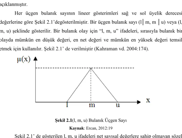 Şekil 2.1 (l, m, u) Bulanık Üçgen Sayı  Kaynak : Ercan, 2012:19 