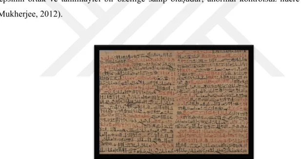 Şekil 1.1. Kanserin tıbbi betimlemesine dair ilk bulgular M.Ö 2600 yıllarından günümüze kalan, Antik Mısır  medeniyetinde elde edilen bulgulara dayanarak yazılmış olan Edwin Smith papirüsünde görülmektedir