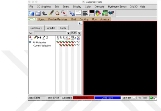 Şekil 1.9. AutoDock Tools grafik arayüzünden alınmış görüntü