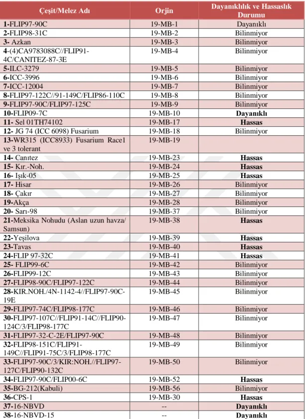 Tablo 2.1. Örnek alınan 38 çeşit/melez bitki materyali 