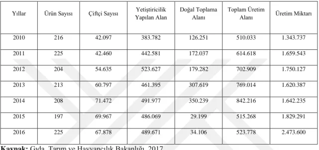 Tablo 4: Organik Tarım Üretim Verileri 