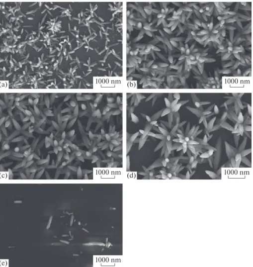Fig. 5. 20 000 times magnified top view SEM images of the layers of ZnO nanoparticles obtained in (a) Set 1, (b) Set 2, (c) Set 3,