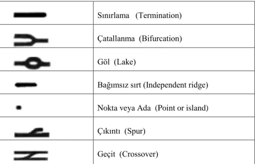 Şekil 1.1. En genel minutiae çeşitleri (Jampour vd. , 2010). 