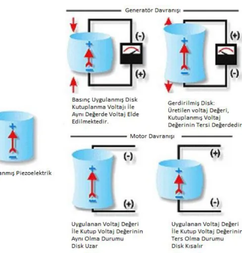 ġekil 2.6. Piezoelektrik malzemenin generatör ve motor davranışı.  Piezoelektrik malzemelerde görülen elektromekanik etkiler için temel eşitlikler;   Direkt piezoelektrik etki için eşitlik; 