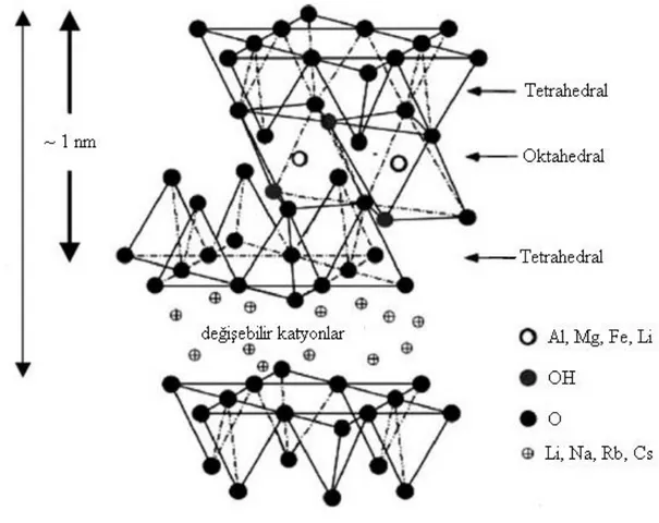 Şekil 2.5. 2:1 tabakalı fillosilikatların TOT yapısı (Ray ve Okamoto, 2003). 