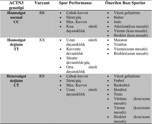 Çizelge  2.3.  ACTN3  genotipi  ve  sportif  performans  arasındaki  ilişki(Ozveren,    vd.,2014)