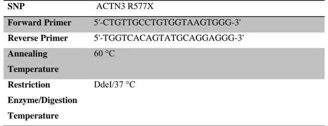 Çizelge 3.3. ACTN3 geni için kullanılan primerler.