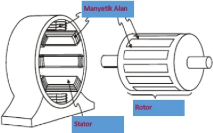 Şekil 3.1.  Asenkron motorun stator ve rotor gösterimi (globalspec, 2018)  3.1.1.  Asenkron motorlarda enerji verimliliği 