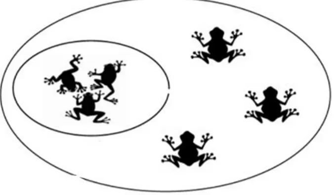 Şekil 2.7. SFLA optimizasyon algoritması (Melia, vd., 2016).  2.8 Biyocoğrafya Tabanlı Optimizasyon Algoritması (Biogeography Based  Optimization Algorithm-BBO) 