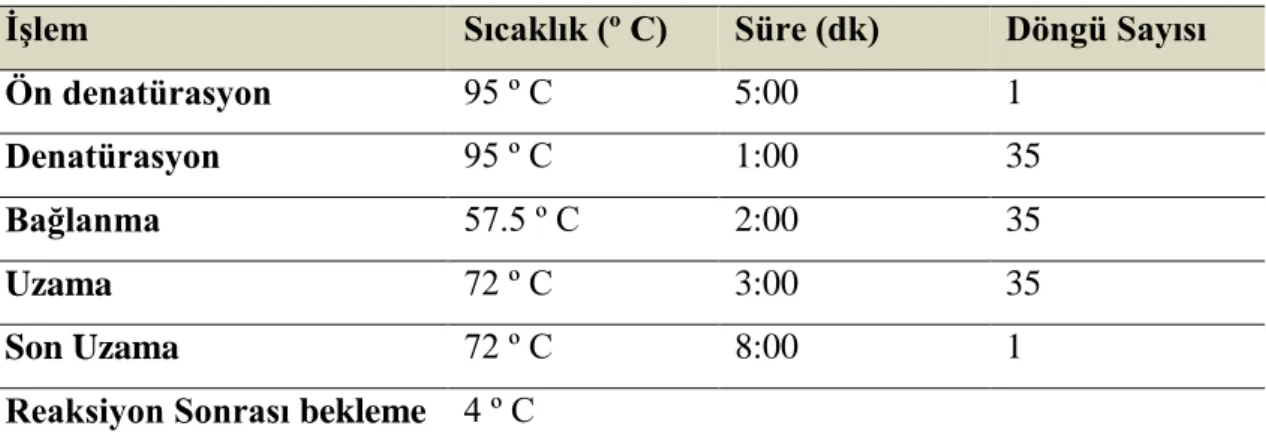Çizelge 3.3., PCR reaksiyon koşulları 