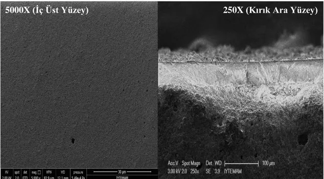 Şekil 5.3. MF membran iç üst yüzeyinin 5000X ve kırık ara yüzeyinin 250X’teki SEM  görüntüleri