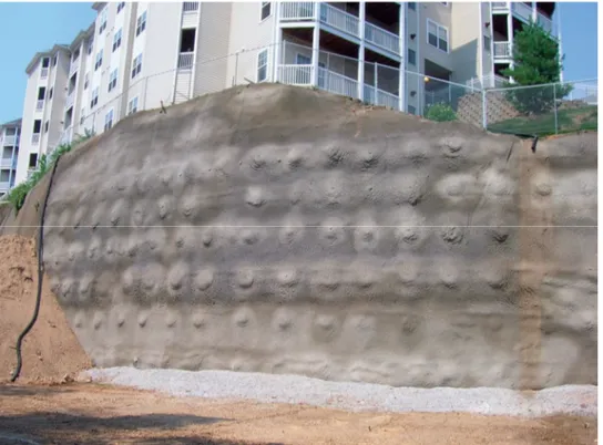 Şekil 4.20 ‘de kaplama yapılmış zemin çivisi duvar örneği görülmektedir. 