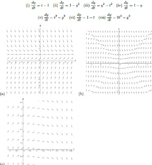 Şekil 4. 1. Diferansiyel denklemler örneği. 