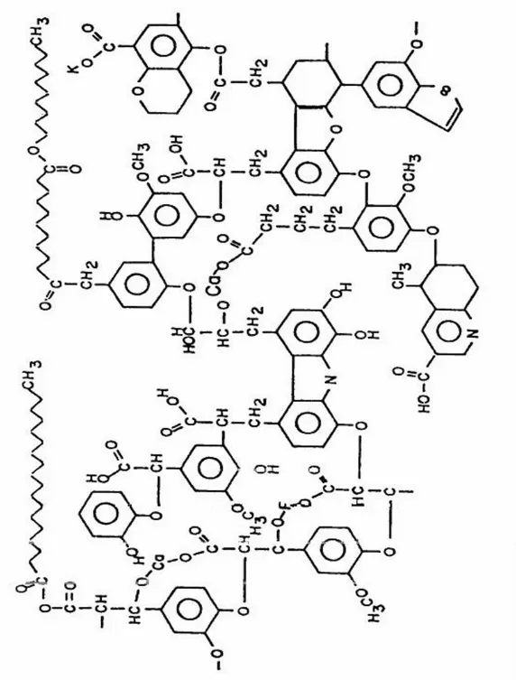 Şekil 4.1.Kömürün olası yapı modeli (Tromp ve Moulijn, 1987).  4.2. Dünya’da ve Türkiye’de Taşkömürü 