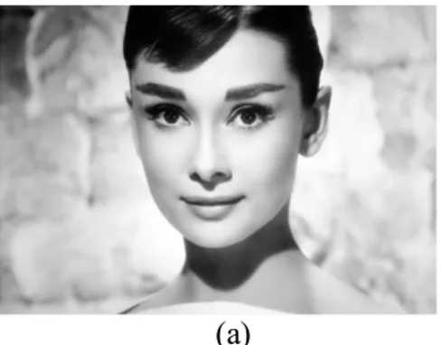 Şekil  2.2(a)’da  bir  film  aktrisinin  726 × 1024  çözünürlükteki  ve  her  pikselin  alabileceği  değer  0-256  arasında  olan  bir  resmi  verilmiştir