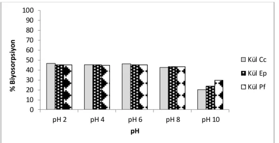 Şekil 4.6. Kül likenler ile ARP-2BX’in biyosorpsiyonuna  pH etkisi. 