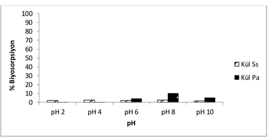 Şekil 4.12. Kül algler ile RBB’nin biyosorpsiyonunda  pH etkisi.  4.2. Biyosorbentlerin  Boya Giderimine  Boya Derişimi  Etkisi 