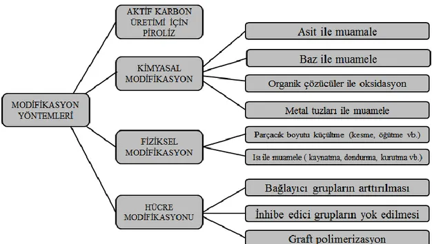 Şekil  2.6.  Biyosorbent  etkinliğini  arttırmak  için  uygulanabilecek  modifikasyon  yöntemleri (Nguyen, vd., 2013)