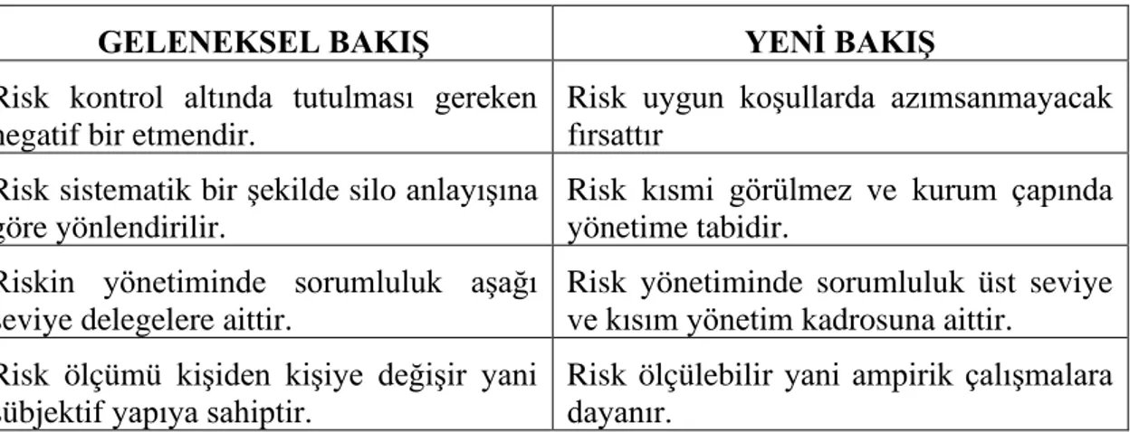 Tablo 1: Riskin Tanımlanmasında Bakış Açıları: 