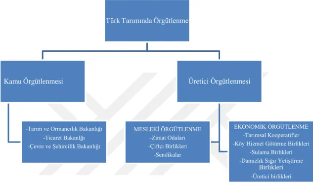 Şekil 4.1: Örgütlenme Kavramı Şekilleri 