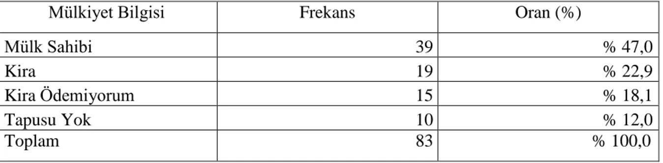 Tablo 6: Mülkiyet Bilgisine Göre Frekans Dağılımı 