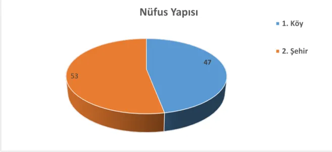 Şekil 2: Niğde İlinin Nüfus Yapısı 
