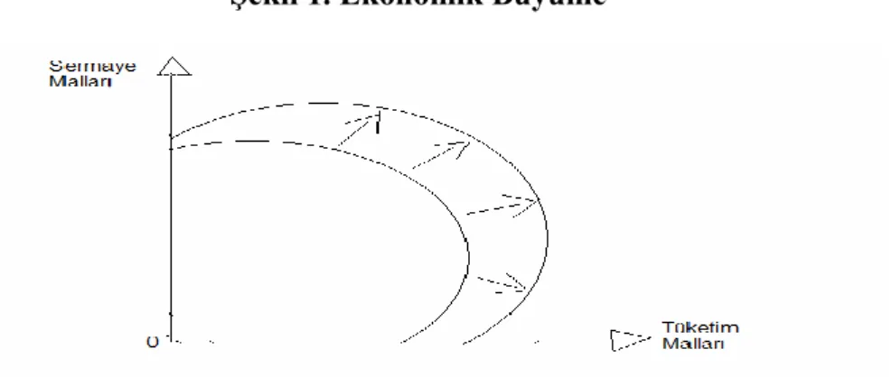 Şekil 1. Ekonomik Büyüme 