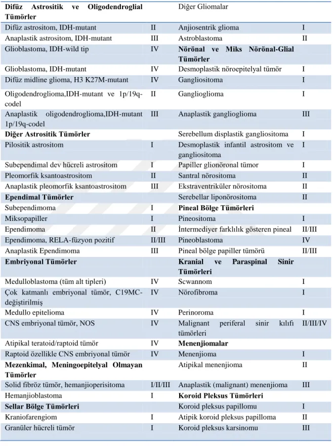 Çizelge  2.1.  Seçilen  MSS  tümörlerinin  WHO'ya  göre  2016  yılı  derecelendirilmesi 