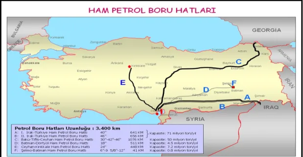 Şekil 7:Ham Petrol Boru Hatları 