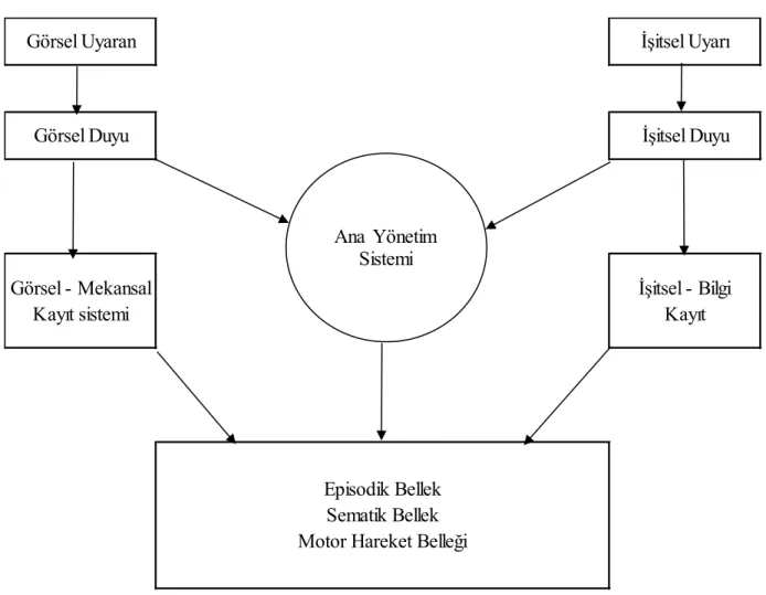 Şekil 4: Bellek Modeli