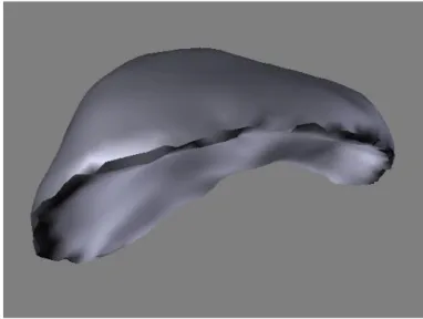 Şekil 2.4. Çizim programı ile oluşturulmuş karaciger modeli karşıdan görüntüsü. 