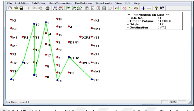 Şekil 1.17 : Ağda yer alan düğüm noktaları ve optimum çözümün grafiksel gösterimi 
