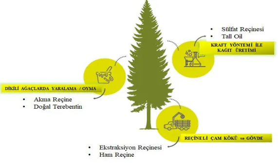 Şekil 1.2: Reçine üretim teknikleri 