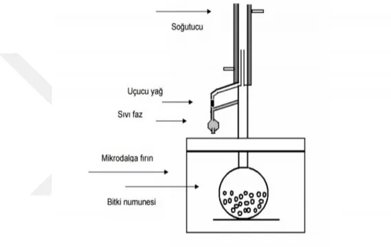 Şekil 3.11 : Mikrodalga cihazının şematik görünümü [72]. 3.2.4  Uçucu yağların GC-MS analizine hazırlanması 