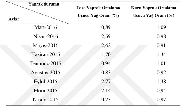 Çizelge 4.2 :  Kurşunlu yöresi (0 m) taze ve kuru yaprak uçucu yağ veriminin aylara  göre değişimi.