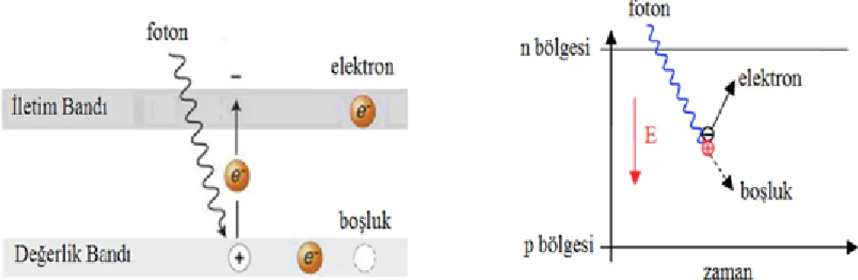 Şekil 1.12: Elektron-boşluk çiftinin oluşumu.  Bir fotonun enerjisi Denklem 1.4’teki gibidir