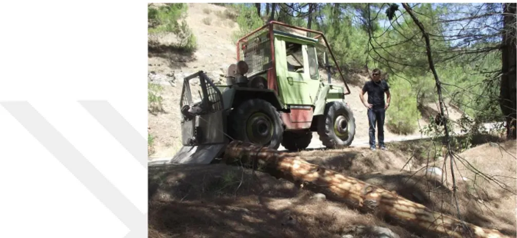 Şekil 1.9 : Orman traktörüyle bölmeden çıkarma (Sert, 2014)  1.4.4  Kablo Hatlar ile Bölmeden Çıkarma 