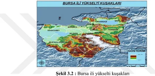 Şekil 3.2 : Bursa ili yükselti kuşakları 