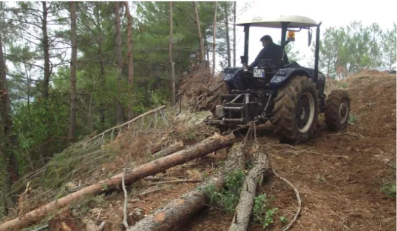 Şekil 1.2 : Tarım traktörünün orman ürünlerini sürütme şeridi üzerinde sürütmesi 