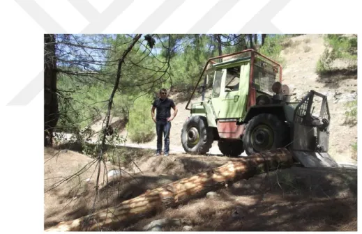 Şekil : 1.5 Orman traktörüyle bölmeden çıkarma 