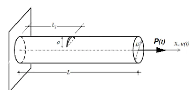 Figure 1. A cantilever cracked circular nanorod subjected to dynamically 