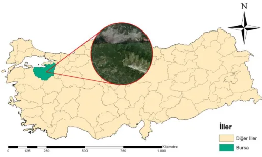 Şekil 2.6 : Araştırma alanı coğrafi konumu. 